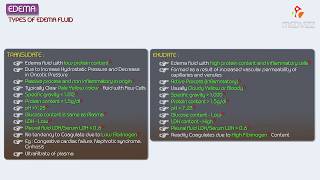 3Edema  Exudate vs Transudate  Hemodynamic pathology Fmge Neet PG and usmle [upl. by Urbanus725]