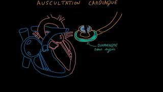 How to take your pulse [upl. by Annaitsirhc]