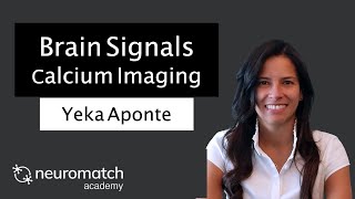 Brain Signals Calcium Imaging [upl. by Yecrad]