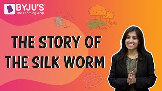 The Story of the Silk Worm  Class 610  Learn from BYJUS [upl. by Mendes]