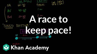 A race to keep pace  Circulatory system physiology  NCLEXRN  Khan Academy [upl. by Enella994]