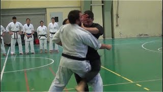 Shorin Ryu Karate Do  Okinawan Kobudo  Self Defense [upl. by Bittner]