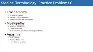 Medical Terminology  The Basics and Anatomy  Practice Problems Set 1 [upl. by Llenet]