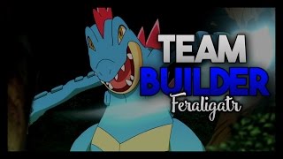 Feraligatr Team Builder Pokemon Heart Gold and Soul Silver [upl. by Hiamerej]