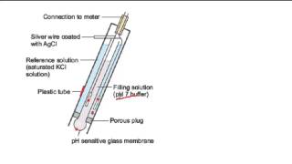 How a pH probe works [upl. by Dambro477]