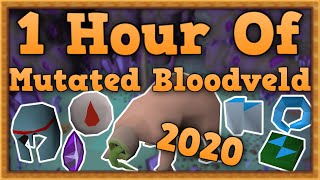 OSRS Mutated Bloodveld Slayer Guide 2020 [upl. by Sutsugua]