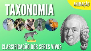 TAXONOMIA  CLASSIFICAÇÃO DOS SERES VIVOS  Animação [upl. by Aenej]