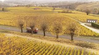 Vu du ciel  Sancerre et son vignoble [upl. by Ailahtan]