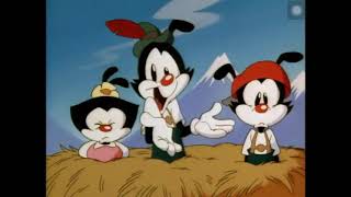 Schnitzelbank Animaniacs CC [upl. by Stearns21]