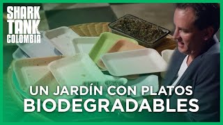 Un jardín con platos biodegradables  Shark Tank Colombia [upl. by Akimad942]