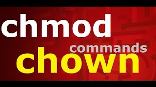 chmodchown commands in linuxpart 2 [upl. by Naedan]