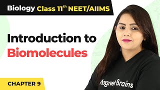 Introduction to Biomolecules  Class 11 Biology [upl. by Etirugram]