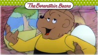 The Dancing Bees 🐝 Berenstain Bears Official [upl. by Nathan]