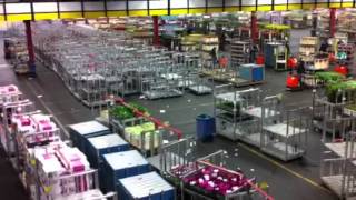 The Largest Flower Market in the World Aalsmeer Holland [upl. by Elum636]