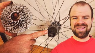 How to Remove the Cassette or Freewheel from Bike Wheels [upl. by Acenom]