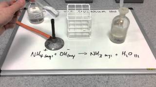 Testing for the ammonium ion [upl. by Ruff]