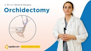 Orchidectomy  Surgery Video Lectures  Medical Student Education  VLearning [upl. by Annaiek]