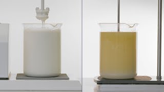 How to Make a Stable Emulsion – Oil and Water Emulsions [upl. by Mcclary321]