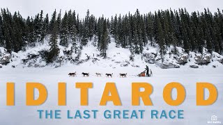 Iditarod Facts  CKCs Talkin Dogs List Show [upl. by Sorensen678]