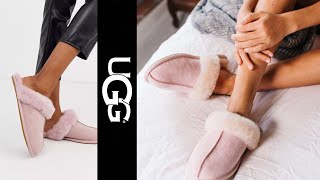 UGG Scuffette II Pink Slippers On Feet  OH YEAH Ugg Slippers Outfits [upl. by Rahm623]