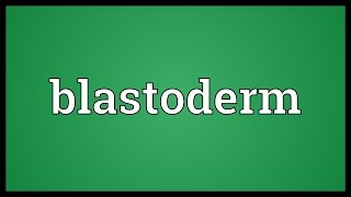 Blastoderm Meaning [upl. by Asen]