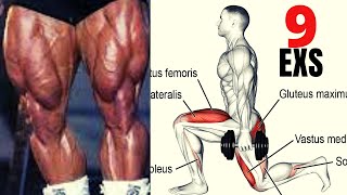 9 MEILLEURS EXERCISES MUSCULATION CUISSES A LA MAISON [upl. by Jocko]