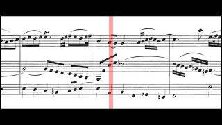 BWV 1029 Sonata for Viola da Gamba amp Harpsichord in G Minor Scrolling [upl. by Colet193]