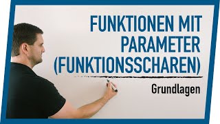 Funktionen mit Parameter Funktionsscharen Grundlagen  Mathe by Daniel Jung [upl. by Lorac324]