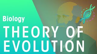 The Theory of Evolution by Natural Selection  Evolution  Biology  FuseSchool [upl. by Wohlert]