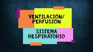 Ventilación y Perfusión Sistema Respiratorio [upl. by Gerita]