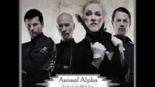 Animal Alpha  Alarm lyrics in description [upl. by Beniamino]