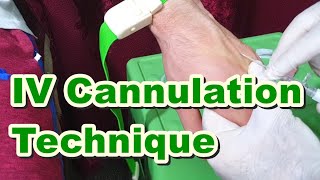 How to Insert IV Cannula  IV Cannulation Technique  Branula  Intravenous Catheter [upl. by Laertnom]