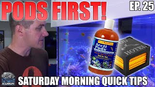 Adding COPEPODS FIRST to Your Saltwater Aquarium  Saturday Morning Quick Tip [upl. by Chrisy]