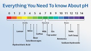 Using a pH Meter  Everything You Need to Know About pH [upl. by Romonda180]