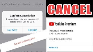 How to Cancel Youtube Premium Account [upl. by Sydney]