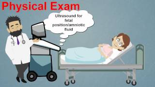 Tympanic Membrane  External Ear  2 [upl. by Guthry]