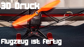 3D Druck Das Flugzeug ist fertig [upl. by Tsenre]