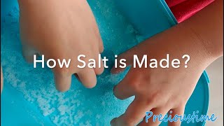 How Salt Is Made Experiment  Science For Kids [upl. by Adiel]