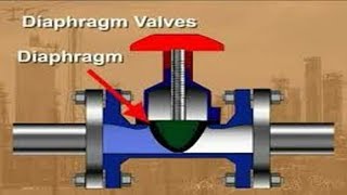 Diaphragmatic scanning using USG  ABCDE technique [upl. by Ttiwed]