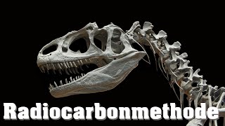 Datierung von Fossilien Radiocarbonmethode [upl. by Acnalb780]