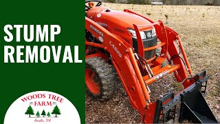 How Do Christmas Tree Farms Remove Stumps 242 [upl. by Nothsa897]