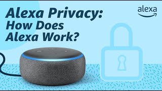 Alexa Privacy How Does Alexa Work [upl. by Ellon700]