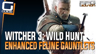 Witcher 3 The Wild Hunt  Enhanced Feline Gauntlets Diagram Location Cat School Gear [upl. by Ahsan402]