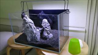 Making a 40 centimeter Nano aquarium layout with 3 stones [upl. by Akcimehs]