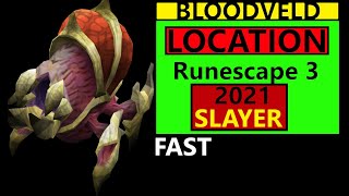 Runescape 3 Bloodveld Location amp Guide Slayer task rs3 Updated 2021 [upl. by Ailsa]