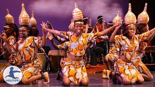 Top 10 Best Traditional African Dances [upl. by Nnaeilsel111]