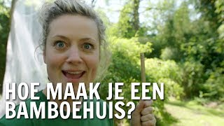 DIY Maak je eigen bamboehuis  De Buitendienst over Bamboe [upl. by Malarkey]