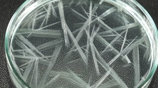 Fast Crystallization Experiment [upl. by Gautea443]