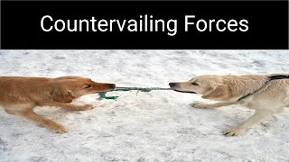 The Countervailing Forces Model [upl. by Sarah365]