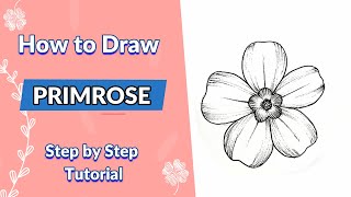 Day 5  How to Draw a Primrose flower  Step By Step  Floral Illustration  Line shading [upl. by Oijile]